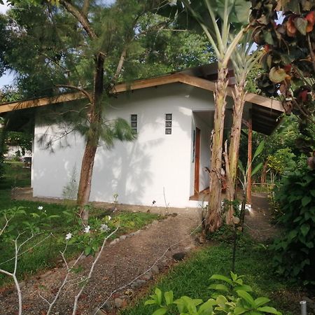 Casas y Cabinas Los Tucanes Cahuita Exterior foto