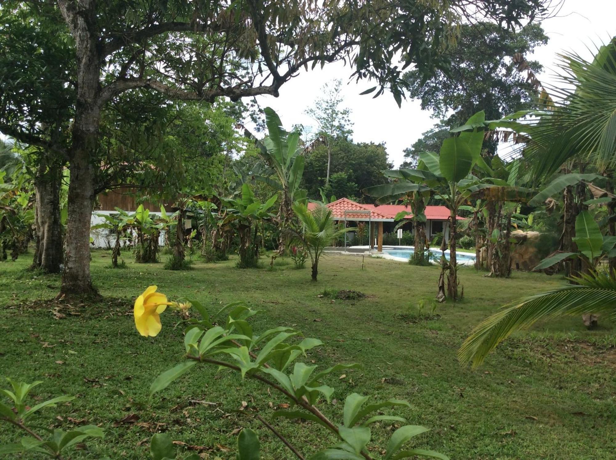 Casas y Cabinas Los Tucanes Cahuita Exterior foto