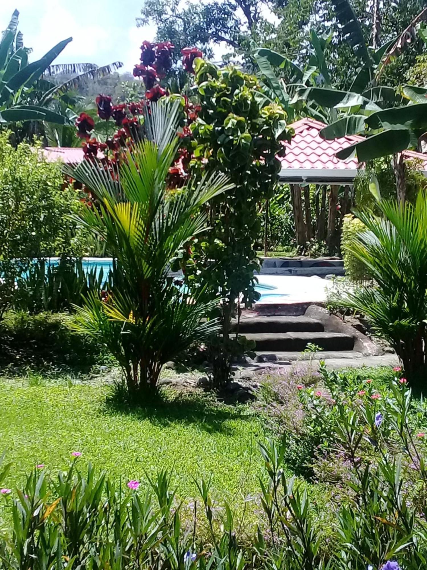 Casas y Cabinas Los Tucanes Cahuita Exterior foto