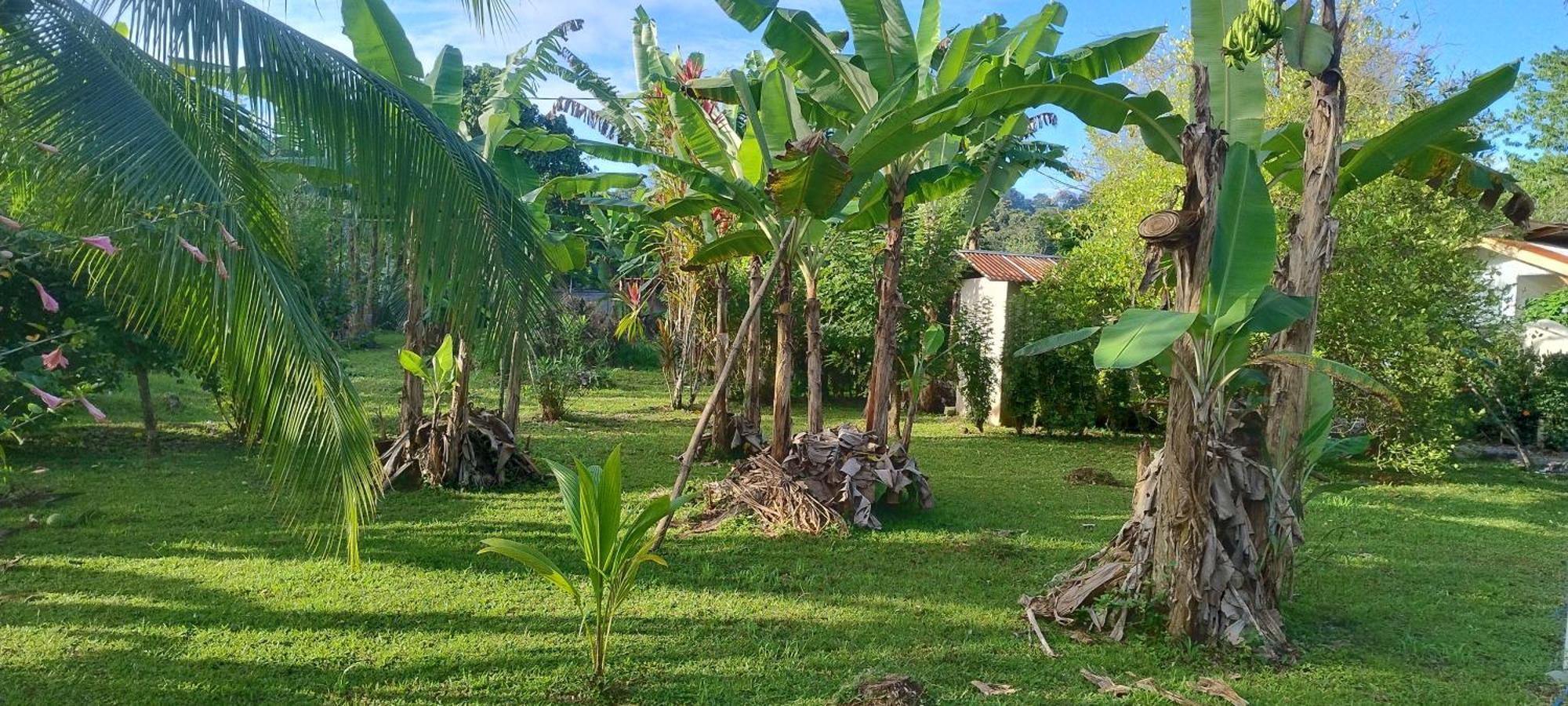 Casas y Cabinas Los Tucanes Cahuita Exterior foto