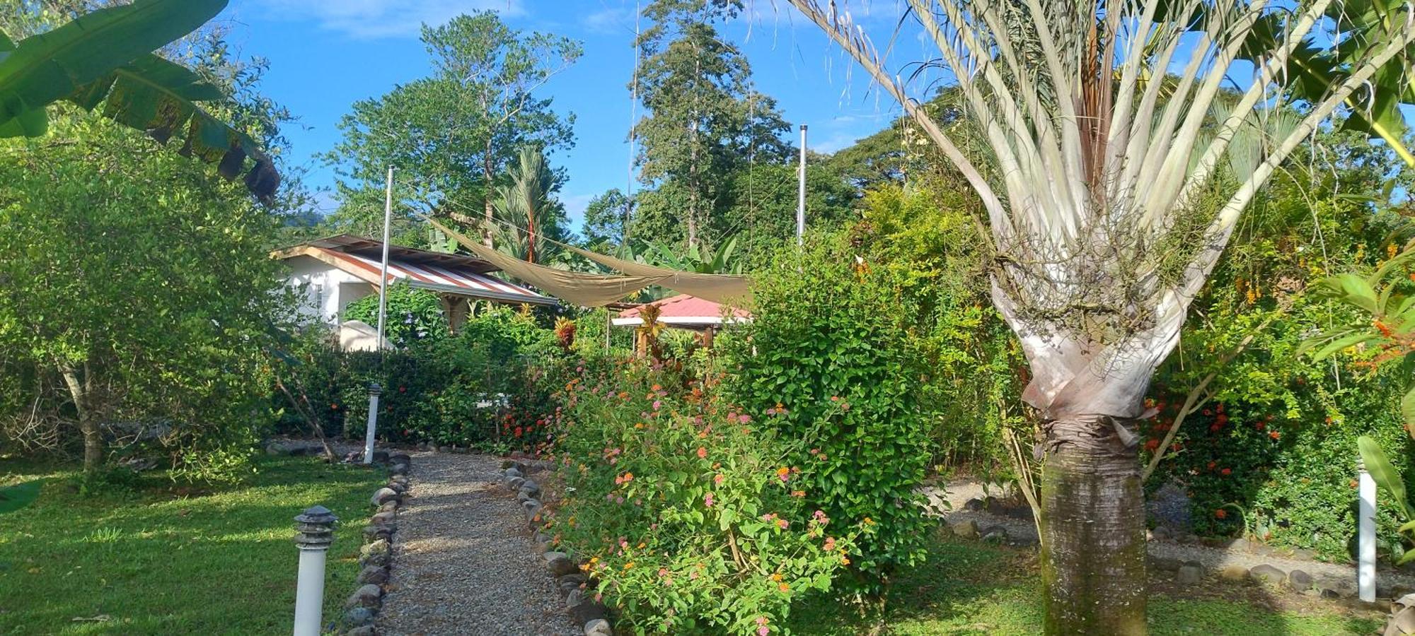 Casas y Cabinas Los Tucanes Cahuita Exterior foto